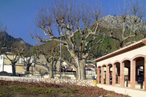 SAGRA