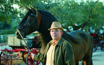 YEGUADA PERETÓ, CABALLOS DE PURA RAZA ESPAÑOLA